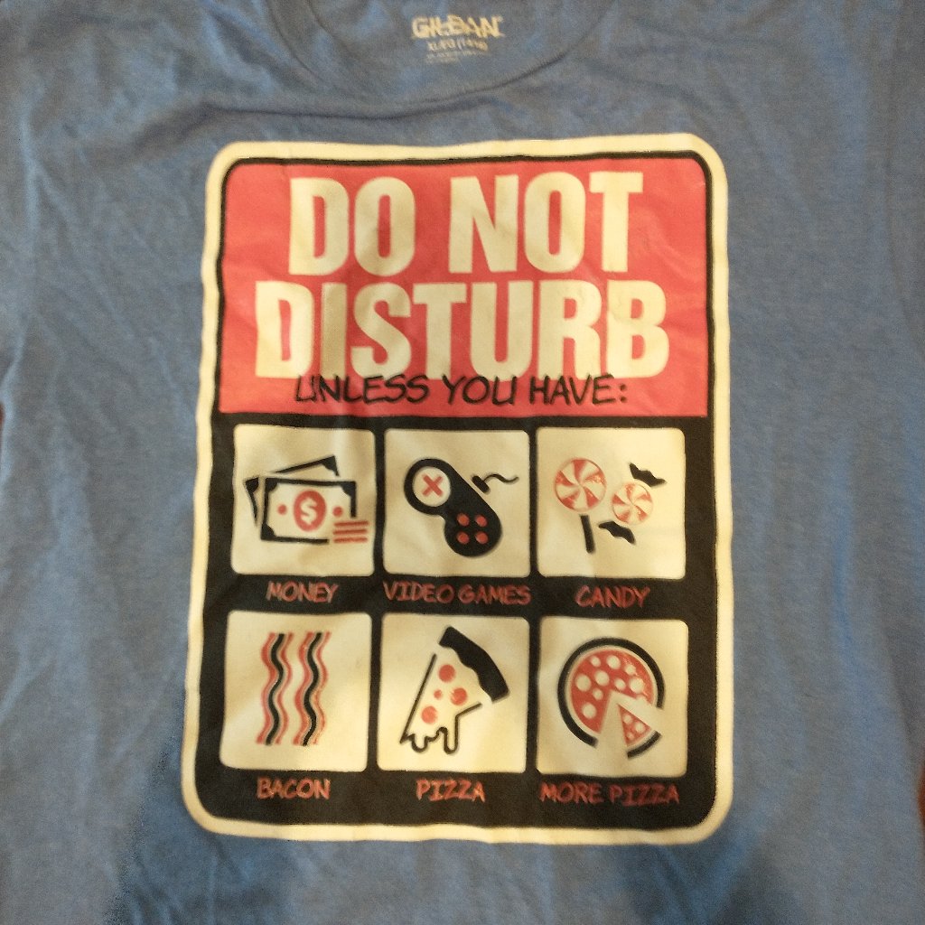 Do Not Disturb Tee.... Euc